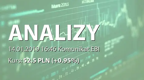 Analizy Online S.A.: Korekta raportu EBI 1/2019 (2019-01-14)