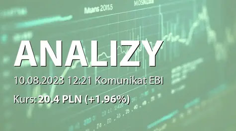 Analizy Online S.A.: SA-QSr2 2023 (2023-08-10)