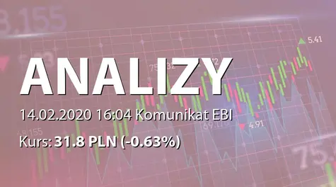 Analizy Online S.A.: SA-QSr4 2019 (2020-02-14)