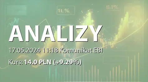 Analizy Online S.A.: SA-R 2023 (2024-05-17)