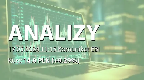 Analizy Online S.A.: SA-RS 2023 (2024-05-17)