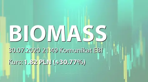 Biomass Energy Project S.A.: SA-R i RS 2019 (2020-07-30)