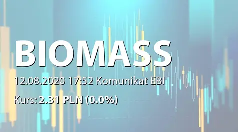 Biomass Energy Project S.A.: SA-R i RS 2019 - korekta (2020-08-12)