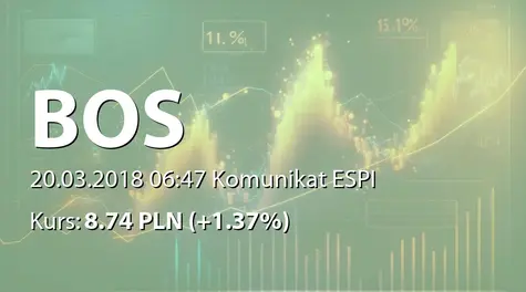 Bank Ochrony Środowiska S.A.: SA-RS 2017 (2018-03-20)