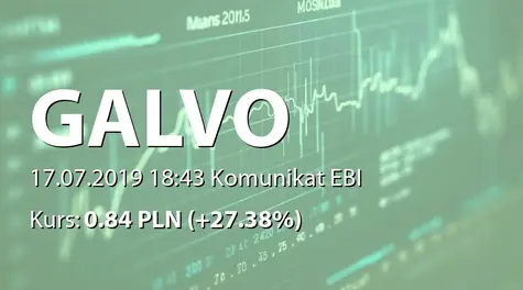 Galvo S.A.: SA-Q2 2019 (2019-07-17)