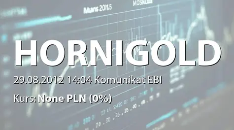 Hornigold Reit S.A.: Analiza sytuacji finansowej i gospodarczej na dzień 30.06.2012 r. oraz jej perspektyw na przyszłość - korekta (2012-08-29)