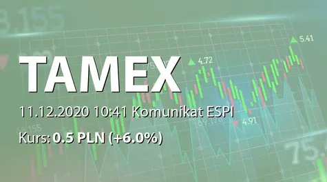 Tamex Obiekty Sportowe S.A.: Umowa na roboty budowlane (2020-12-11)