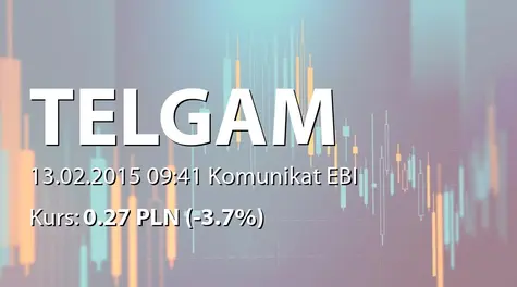 Przedsiębiorstwo Telekomunikacyjne TELGAM S.A.: SA-Q4 2014 (2015-02-13)